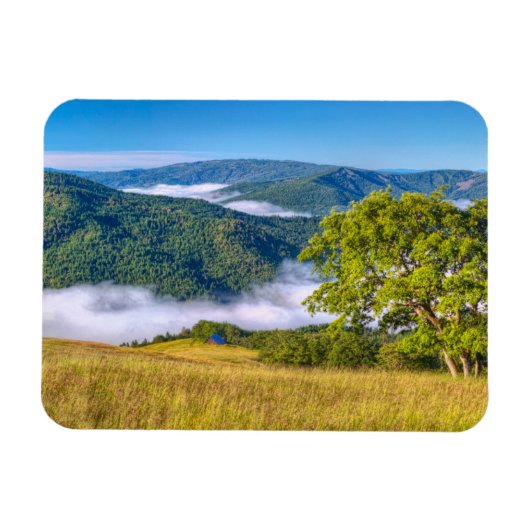 カリフォルニア州レッドウッド国立公園 マグネット (横)