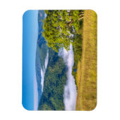 カリフォルニア州レッドウッド国立公園 マグネット (縦)