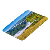 カリフォルニア州レッドウッド国立公園 マグネット (左側)