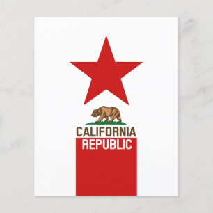 カリフォルニア州旗デコール チラシ