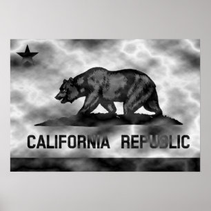 カリフォルニア州旗プラズマ ポスター
