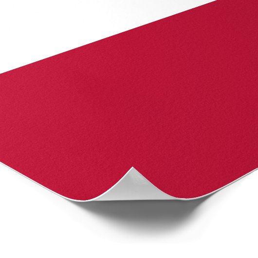 カリフォルニア州旗 ポスター (角)