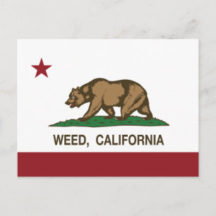 カリフォルニア州旗 ポストカード