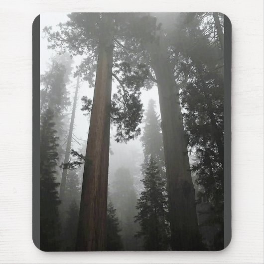 カリフォルニア州霧の中の巨大なセコイアの木 マウスパッド (正面)