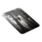 カリフォルニア州霧の中の巨大なセコイアの木 マグネット (右側)