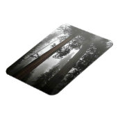 カリフォルニア州霧の中の巨大なセコイアの木 マグネット (左側)