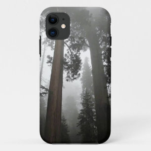 カリフォルニア州霧の中の巨大なセコイアの木 iPhone 11 ケース