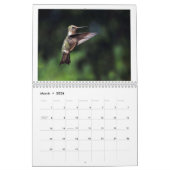 カリフォルニア州2024カレンダーのハミングバード カレンダー (3月 2026)