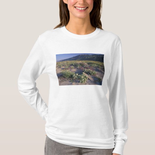 カリフォルニア州 アンザ・ボレゴ砂漠州立公園 砂 Tシャツ (正面)