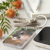 カリフォルニア州，クーガー キーホルダー (正面右)