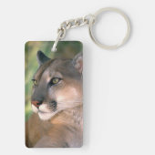 カリフォルニア州，クーガー キーホルダー (裏面)