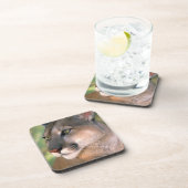 カリフォルニア州，クーガー コースター (右側)