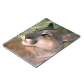 カリフォルニア州，クーガー ノートブック (左側)