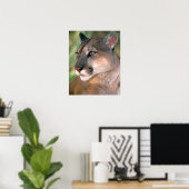 カリフォルニア州,クーガー ポスター (ホームオフィス)