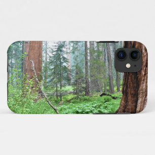 カリフォルニア州、グラントグローブの巨大なセコイア iPhone 11 ケース
