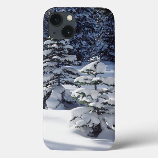 カリフォルニア州、シエラネバダ山脈 8 Case-Mate iPhoneケース (裏面)