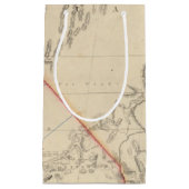 カリフォルニア州 スモールペーパーバッグ (正面)