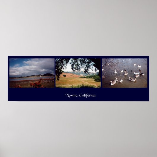 カリフォルニア州,ノバト ポスター (正面)