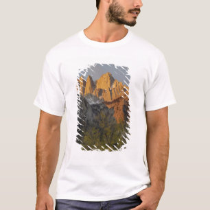 カリフォルニア州、ホイットニー山、イニョー国有林 3 Tシャツ