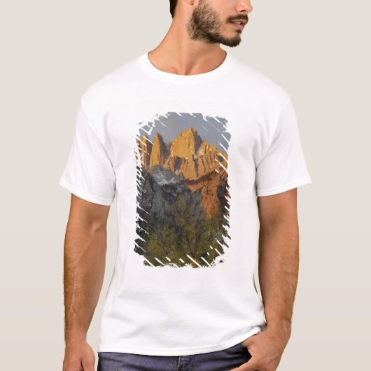 カリフォルニア州、ホイットニー山、イニョー国有林 3 Tシャツ (正面)