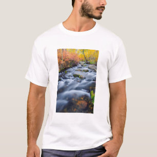 カリフォルニア州 ランディクリーク沿い 紅葉 Tシャツ