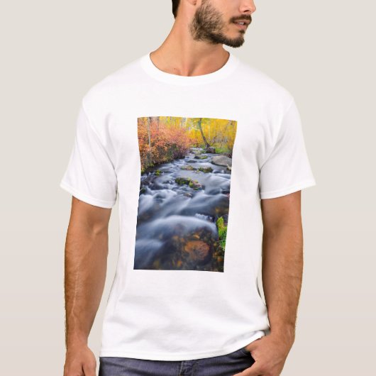 カリフォルニア州 ランディクリーク沿い 紅葉 Tシャツ (正面)