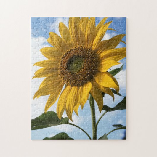 カリフォルニア州、巨大なひまわり (Helianthus) 4 ジグソーパズル (縦)