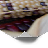 カリフォルニア州.秋ハーベストカラフルインディアンコーン ポスター (角)