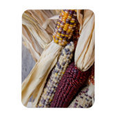 カリフォルニア州.秋ハーベストカラフルインディアンコーン マグネット (縦)