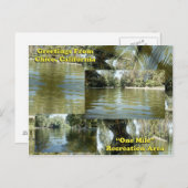 カリフォルニア州Chicoからの挨拶 ポストカード (正面/裏面)