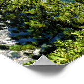 カリフォルニア州Glacier PointのVernal & Nevada秋 ポスター (角)