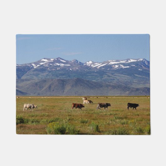 カリフォルニア州HWY 395横 ドアマット (正面)