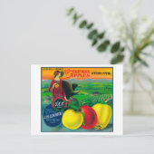 カリフォルニア州J.M.L. Apple Create LabelWatsonville ポストカード (スタンド正面)