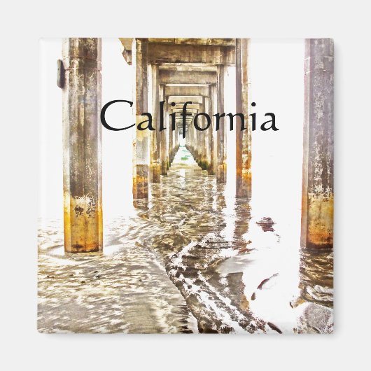 カリフォルニア州Scripps Pierの下 マグネット (正面)