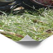 カリフォルニア放棄バークのトラック ポスター (角)