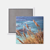 カリフォルニア沿岸磁石 マグネット (正面/裏面)