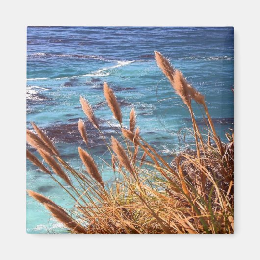 カリフォルニア沿岸磁石 マグネット (正面)