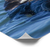 カリフォルニア海オッタEnhydra lutris)の森 ポスター (角)