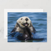 カリフォルニア海オッタEnhydra lutris)の森 ポストカード (正面/裏面)