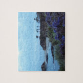 カリフォルニア海岸線のラグナのビーチ ジグソーパズル (縦)