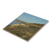 カリフォルニア海岸線風光明媚な旅行風景 タイル (側面)