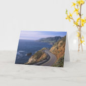 カリフォルニア海岸近くのハイウェイ1 カード (黄色い花)