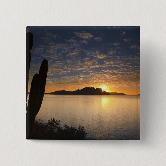 カリフォルニア湾のIsla Danzanteに昇る朝日 缶バッジ (正面)