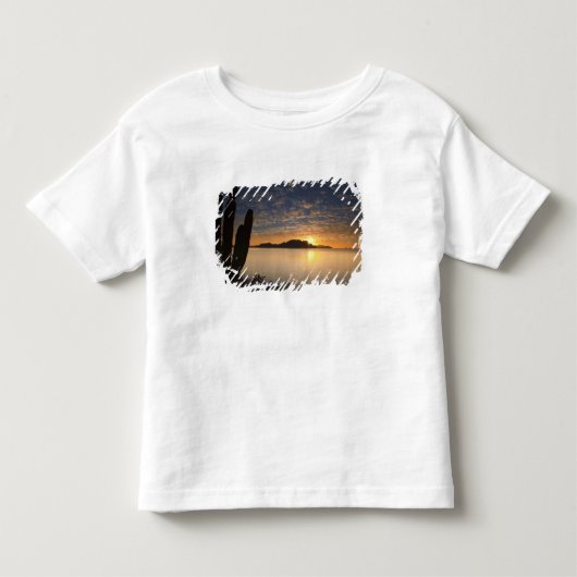 カリフォルニア湾のIsla+Danzante上空の日の出 トドラーTシャツ (正面)