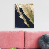 カリフォルニア湾 キャンバスプリント (インサイチュ (リビング))