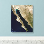 カリフォルニア湾 キャンバスプリント (インサイチュ (ウッドフロア))