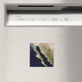 カリフォルニア湾 マグネット (インサイチュ (食洗機))