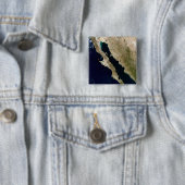 カリフォルニア湾 缶バッジ (インサイチュ)