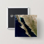 カリフォルニア湾 缶バッジ (正面&裏面)