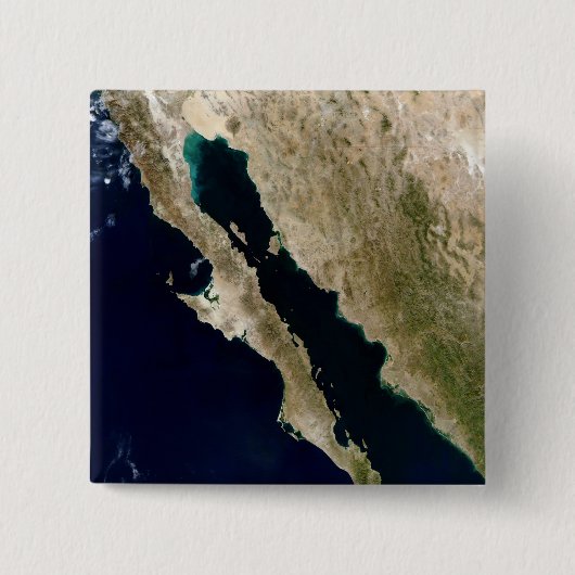 カリフォルニア湾 缶バッジ (正面)